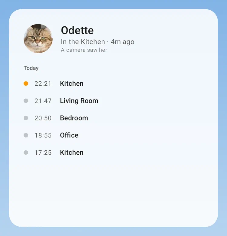 Odette’s card: where she was seen today